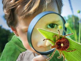 Изображение для новости Изображение для новости